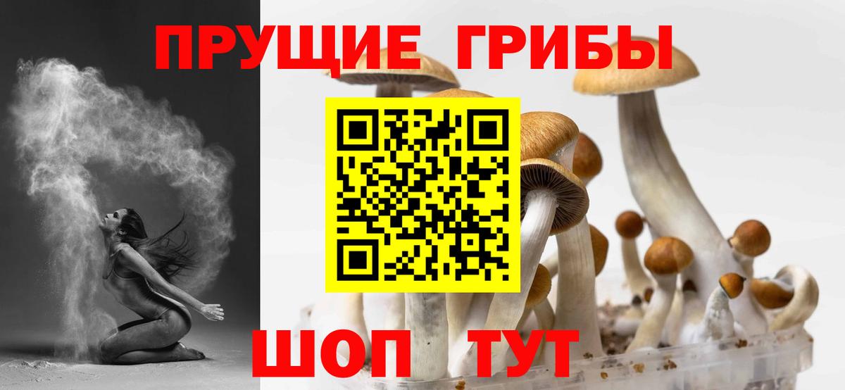 Туймазы  Псилоцибиновые грибы Magic Shrooms  Вход с VPN 